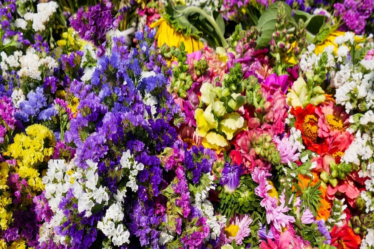 Come stimolare il metabolismo in primavera: i trucchi incredibili da provare Immagine selezionata