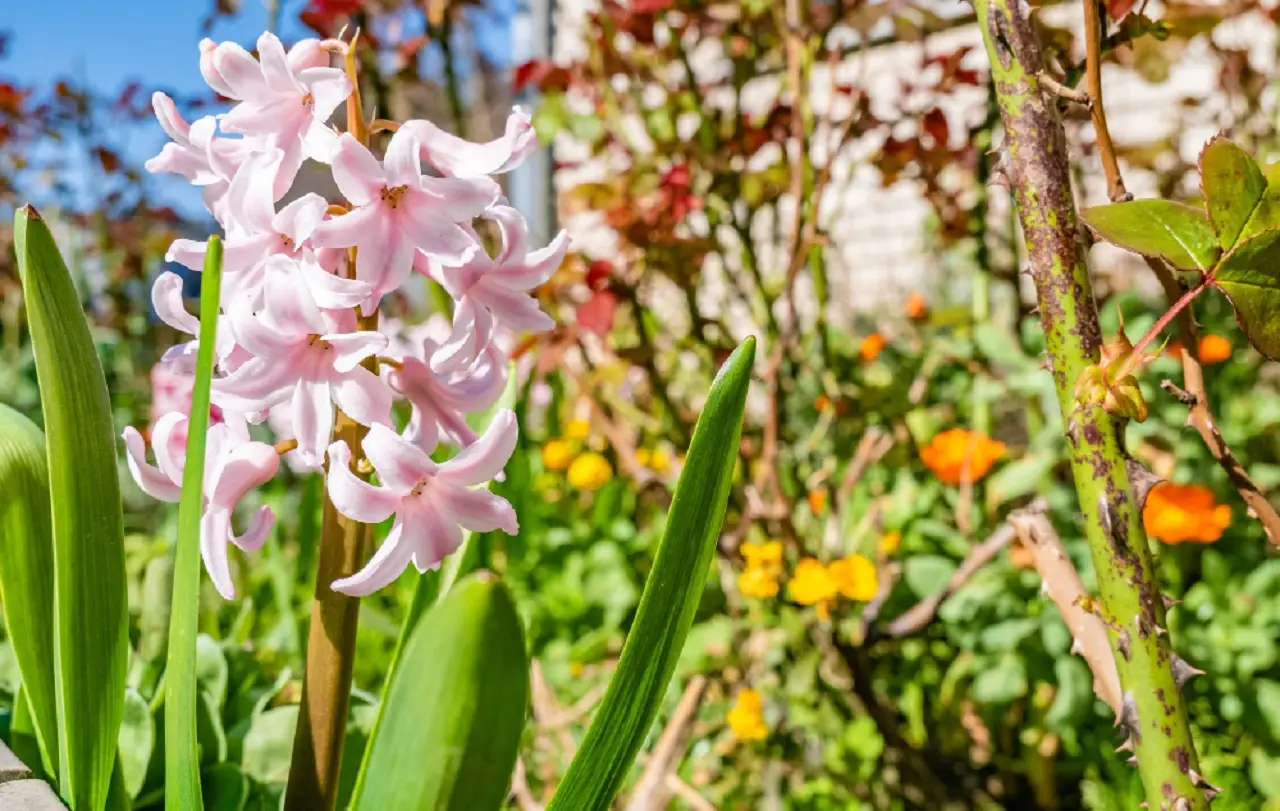 Come stimolare il metabolismo in primavera: i trucchi incredibili da provare Immagine selezionata