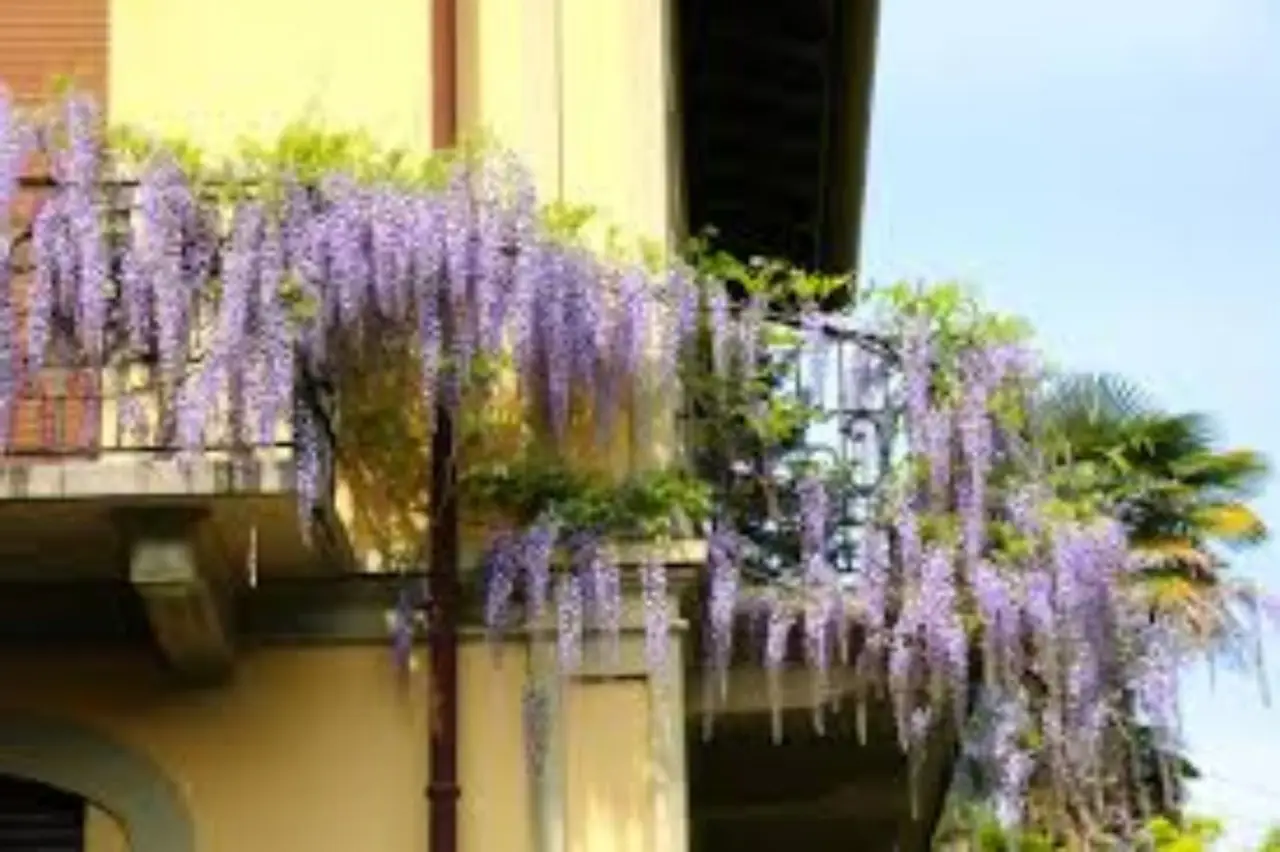 Come stimolare il metabolismo in primavera: i trucchi incredibili da provare Immagine selezionata