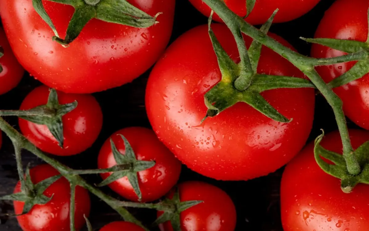 Ecco cosa mettere alla base dei pomodori per un raccolto abbondante fino all’autunno