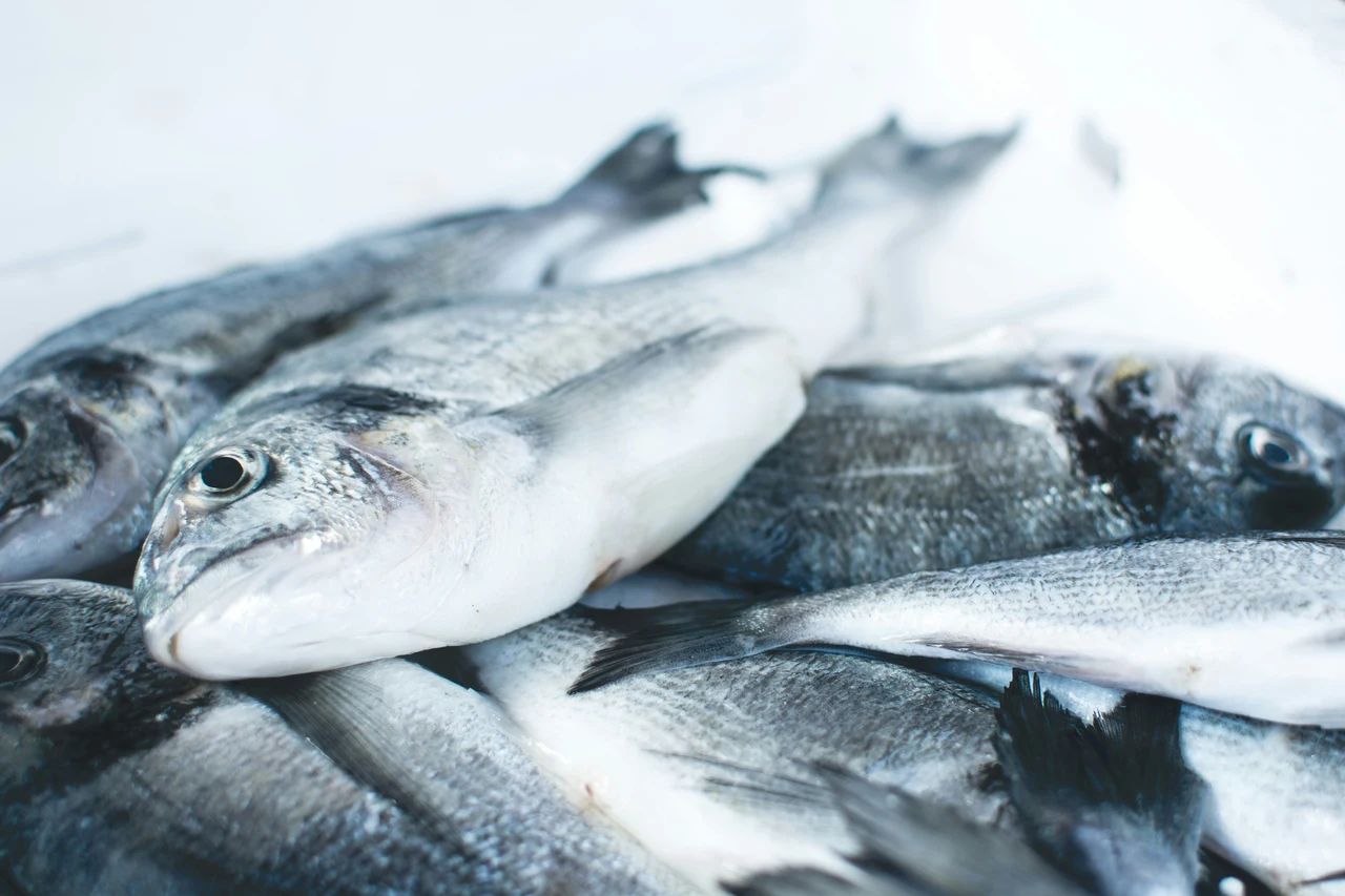 Sai come congelare pesce azzurro senza rovinare il sapore? Immagine selezionata