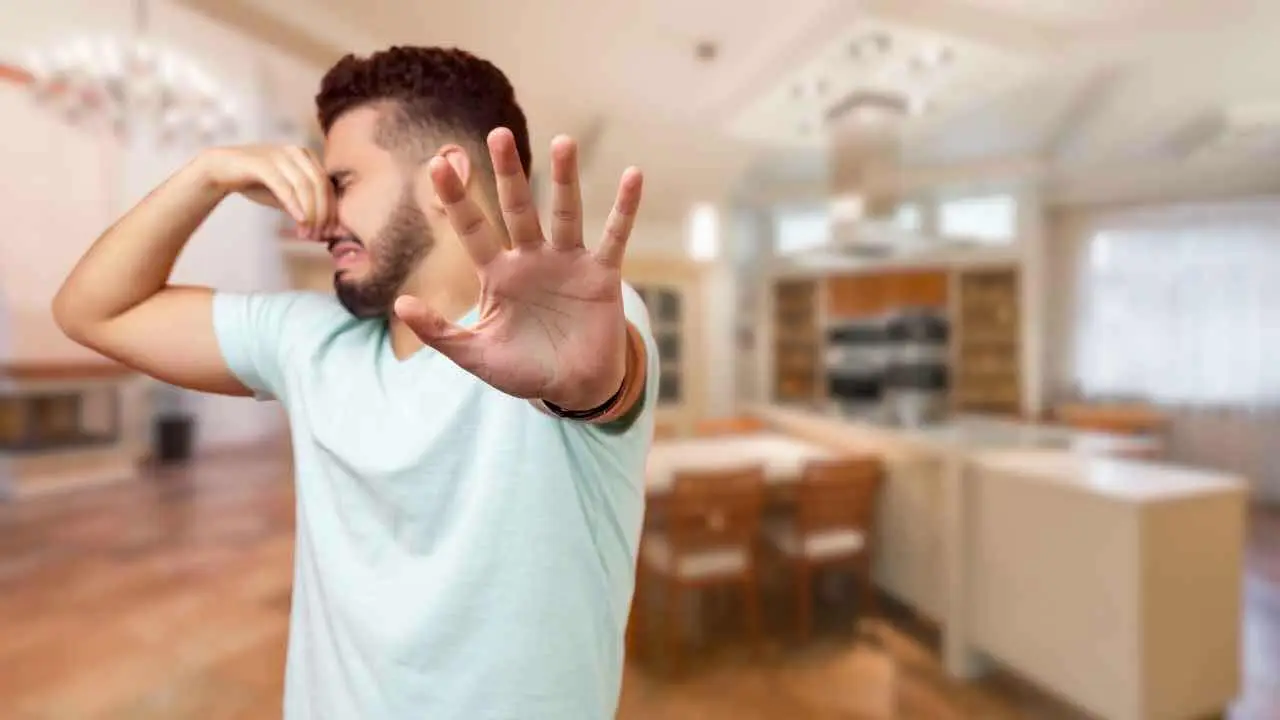 Come eliminare i cattivi odori dai tessuti a casa Immagine selezionata