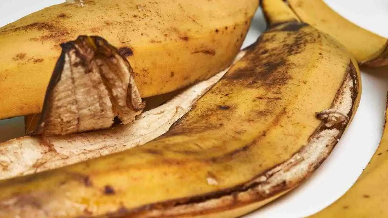 Come usare le bucce di banana per concimare: ecco il trucco naturale Immagine selezionata