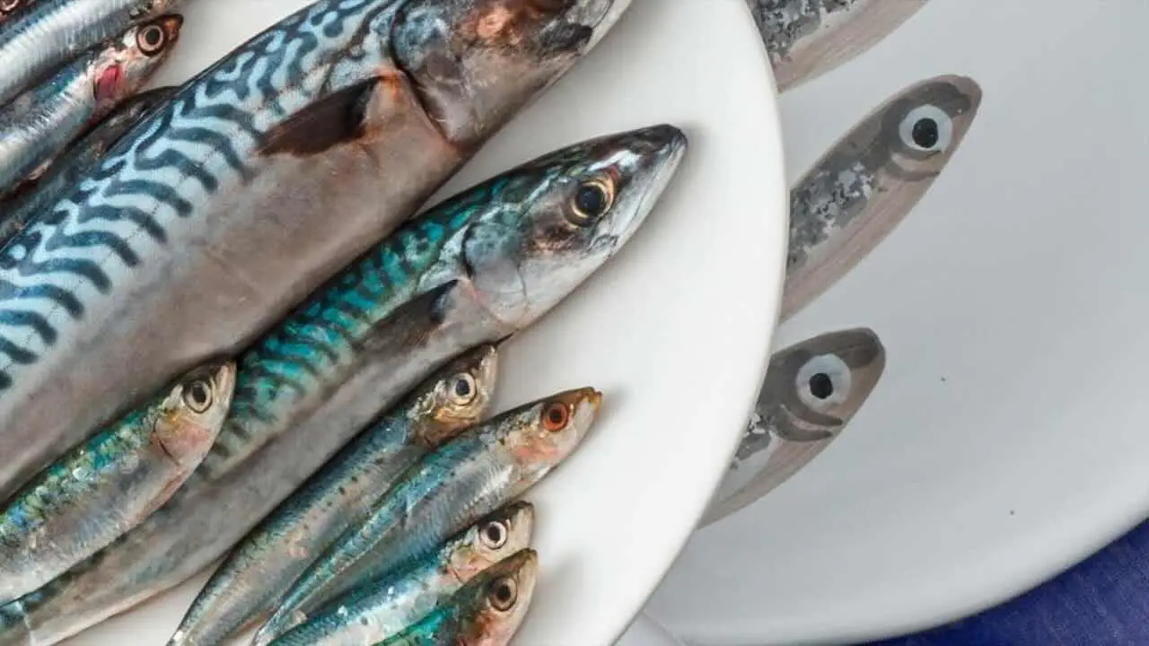 Ecco cosa mangiare per migliorare la tua memoria Immagine selezionata