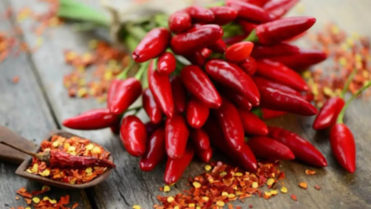 Attenzione al consumo continuo di cibo molto piccante: ecco cosa dicono i medici Attenzione al consumo continuo di cibo molto piccante: ecco cosa dicono i medici