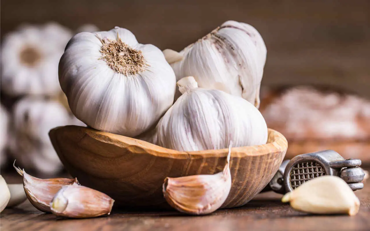 Aglio crudo a digiuno: vantaggi e possibili effetti collaterali Aglio crudo a digiuno: vantaggi e possibili effetti collaterali