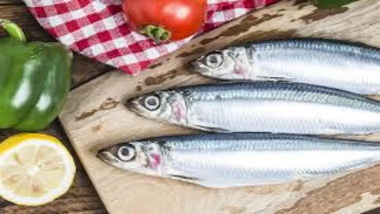Il pesce azzurro a tavola tutti i modi per assumere più omega 3